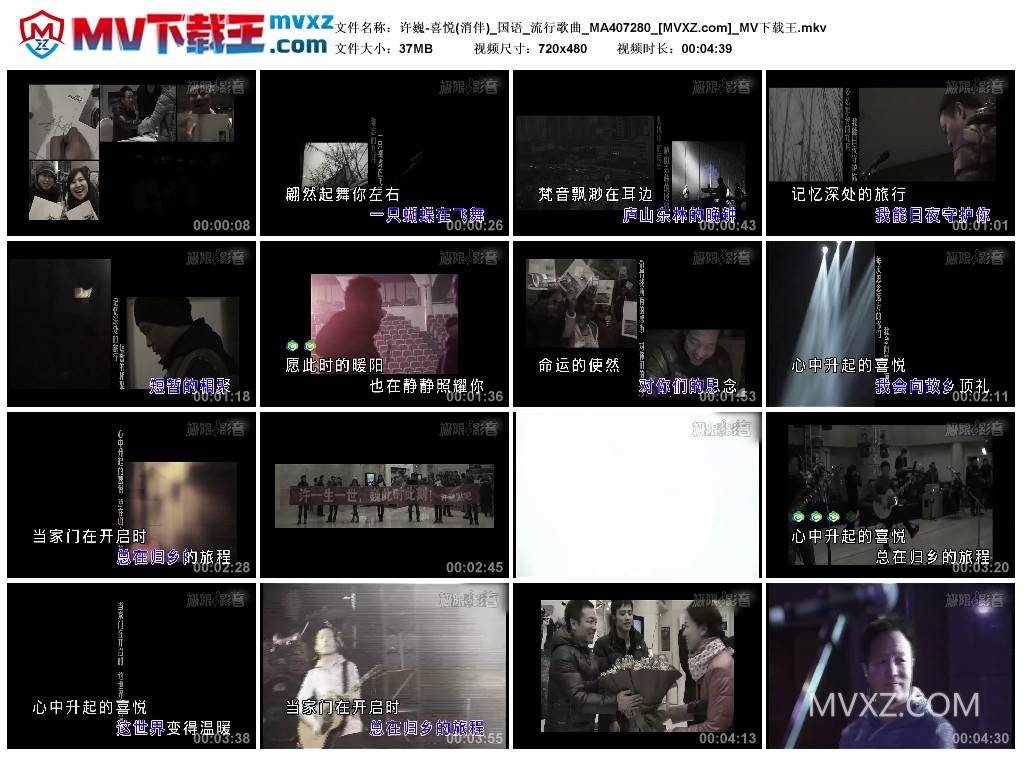 许巍-喜悦(消伴)_国语_流行歌曲_MA407280